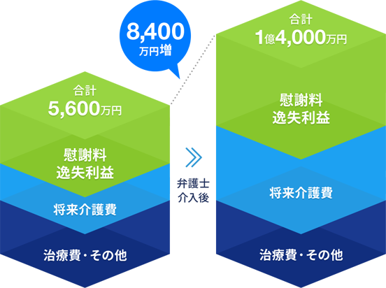 遷延性意識障害が残存し、後遺障害等級１級が認定された事例